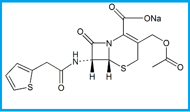 CEFALOTIN SODIUM